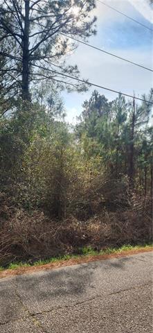 0 Ray Keen Road Covington, LA 70435 - Photo 1 of 5