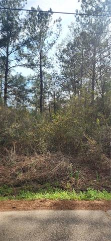 0 Ray Keen Road Covington, LA 70435 - Photo 5 of 5