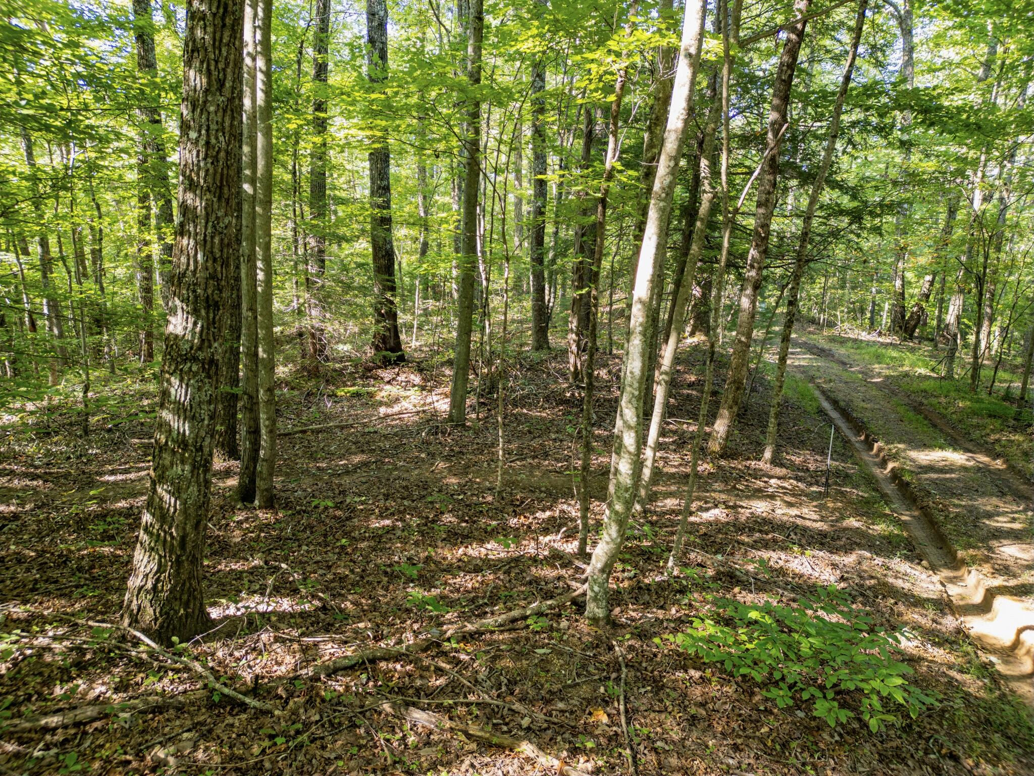 Highlands Of Rrg Lot 654 Highlands Of Rrg Road Zoe, KY 41397 - Photo 6 of 15 DJI_0624-Enhanced-SR