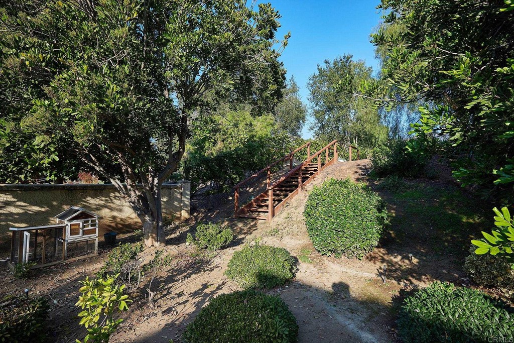 3518 Sarah Ann Drive Fallbrook, CA 92028 - Photo 21 of 49 a view of a street with lots of plants and trees