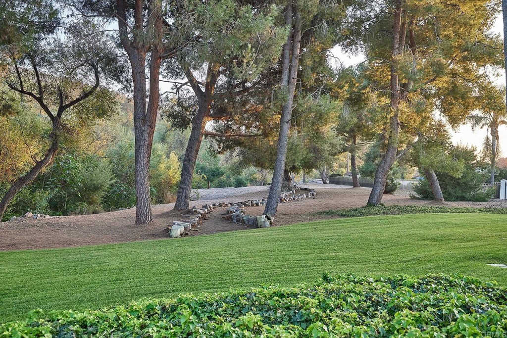 3518 Sarah Ann Drive Fallbrook, CA 92028 - Photo 41 of 49 a view of a park with large trees