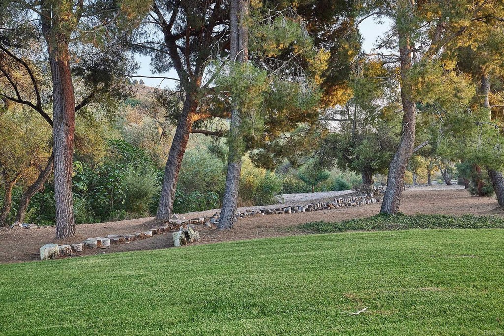 3518 Sarah Ann Drive Fallbrook, CA 92028 - Photo 45 of 49 a view of a park with large trees