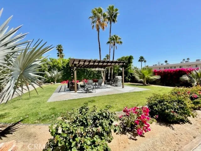 a view of a garden with plants and large trees