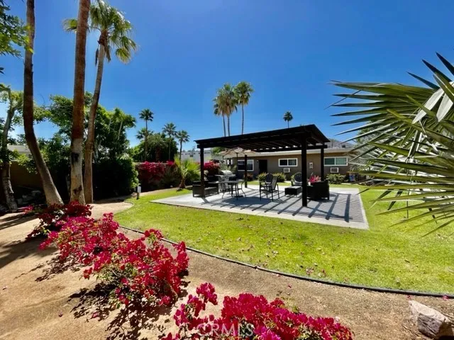 a view of a swimming pool with potted plants