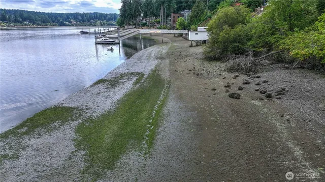 a view of a yard with wooden fence