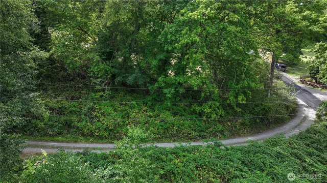 a view of a yard with plants and trees