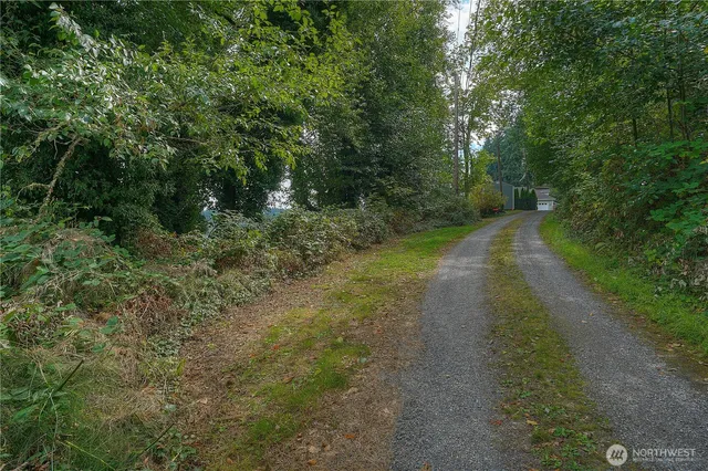 a view of a lake with a tree