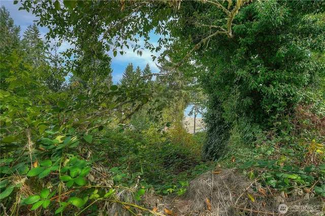 a view of a pathway both side of yard with green space