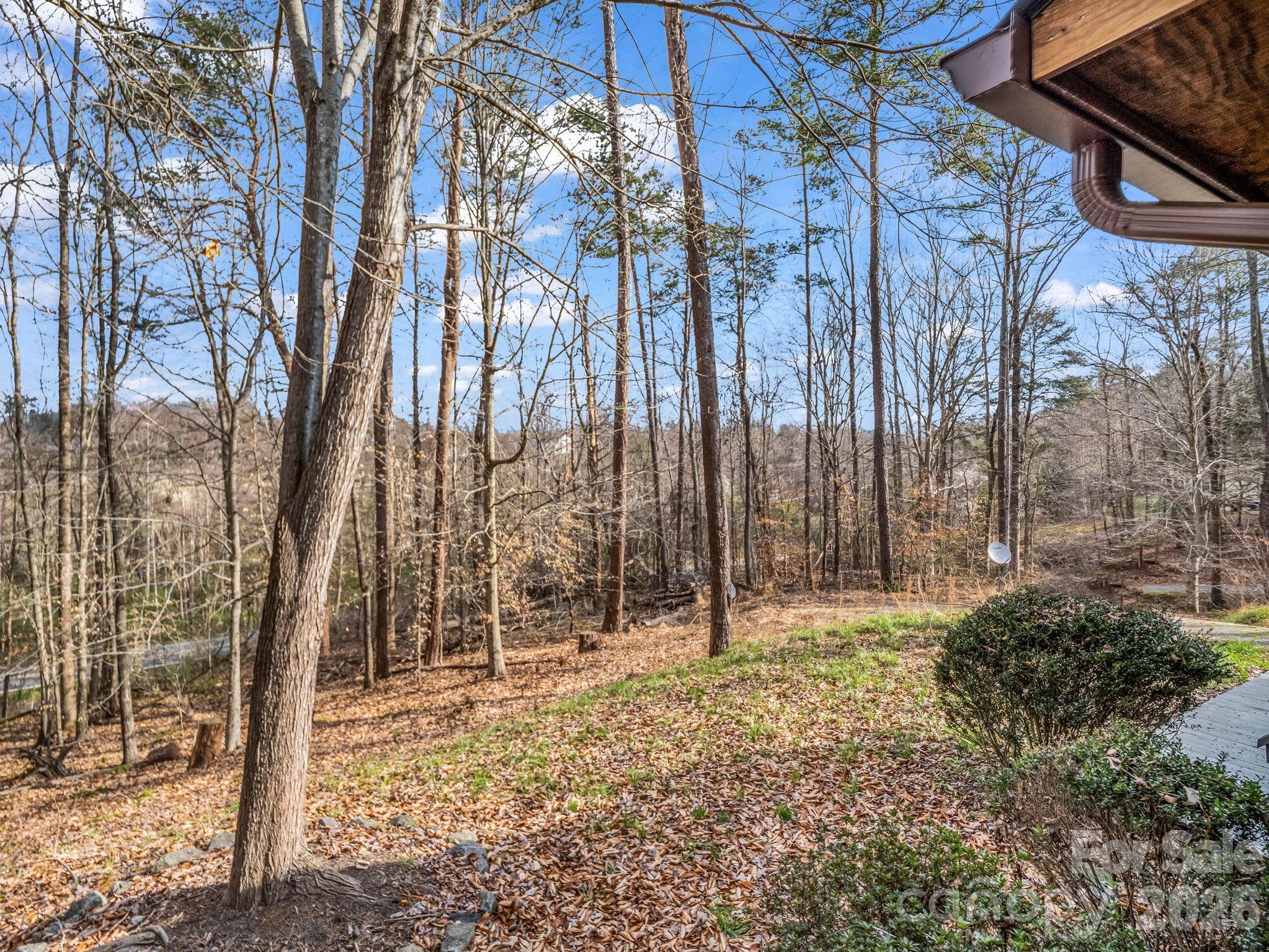 1493 Cleghorn Mill Road Rutherfordton, NC 28139 - Photo 24 of 26