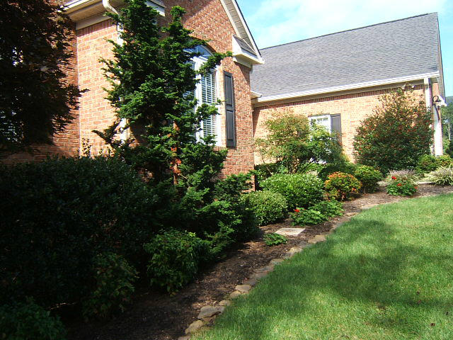 133 Piper Glenn Blue Ridge, VA 24064 - Photo 4 of 73 a view of a back yard from a patio