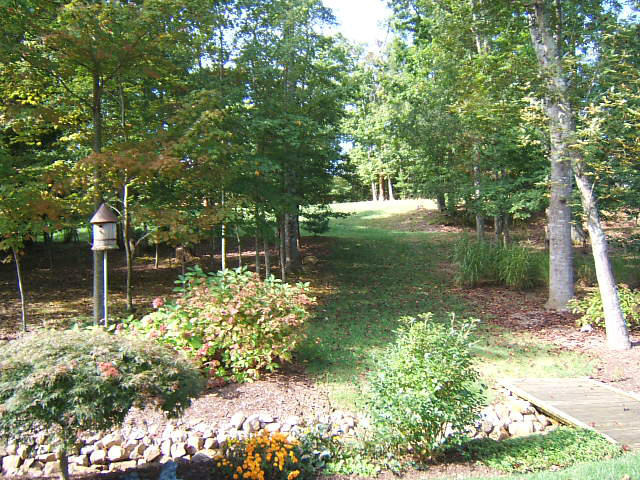 133 Piper Glenn Blue Ridge, VA 24064 - Photo 65 of 73 a backyard of a house with lots of green space