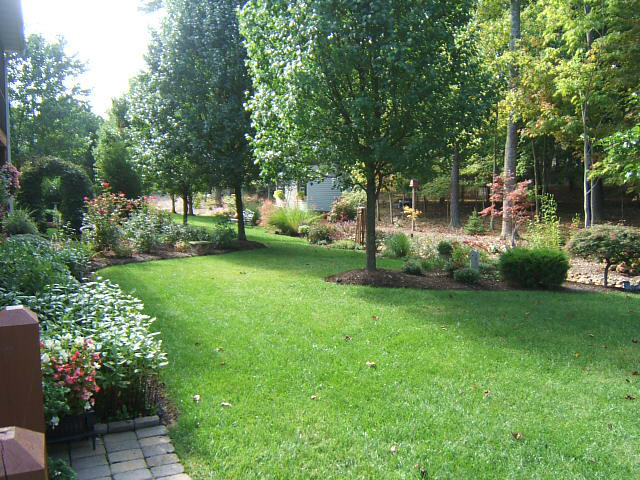 133 Piper Glenn Blue Ridge, VA 24064 - Photo 66 of 73 Backyard landscaping