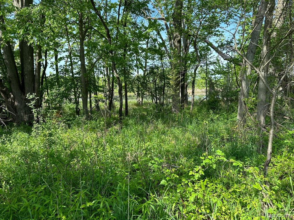 D North Holly Road Holly, MI 48442 - Photo 20 of 27