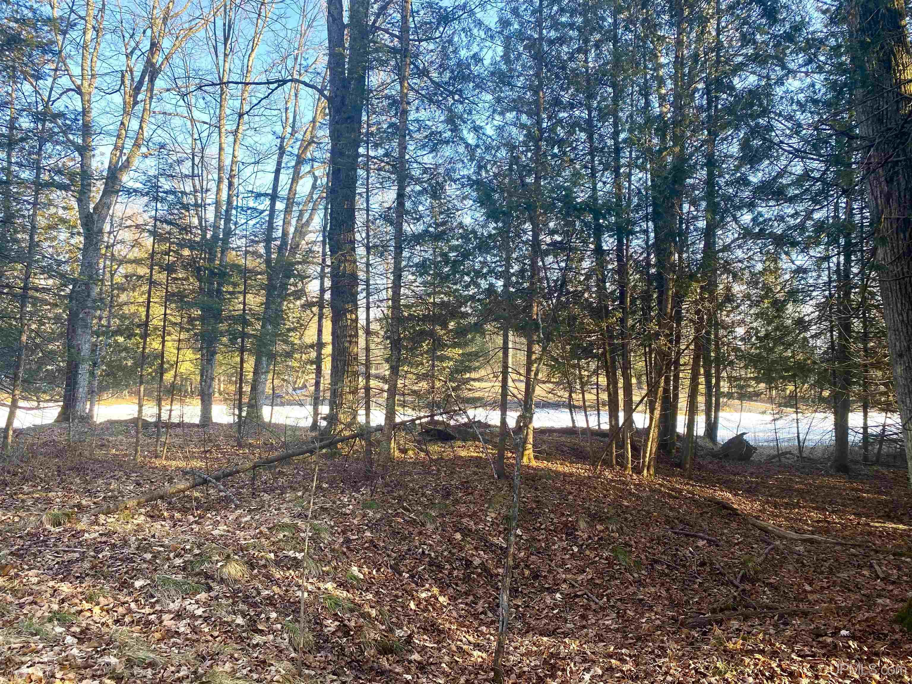 Tbd 18th Road Escanaba, MI 49829 - Photo 6 of 23