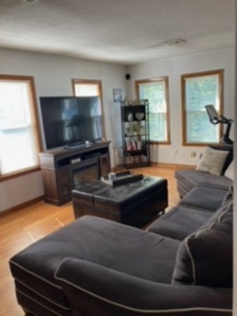 7 Willow Street Holyoke, MA 01040 - Photo 14 of 33 a living room with furniture and a flat screen tv