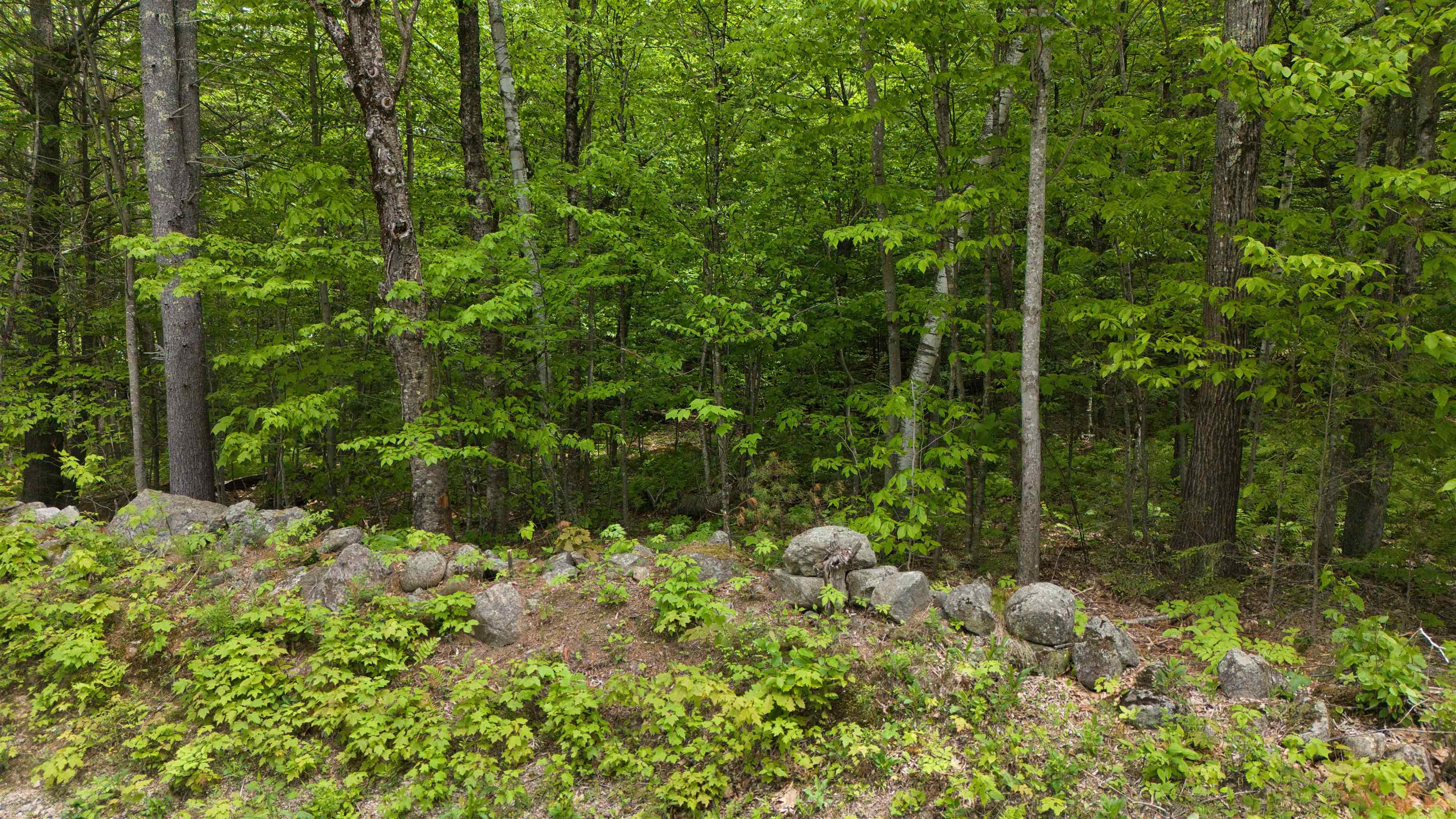Lot 13 Beach Pond Road Wolfeboro, NH 03894 - Photo 14 of 17