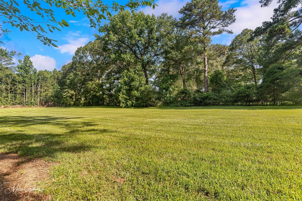 9342 Dean Road Shreveport, LA 71118 - Photo 17 of 18 Expansive grassy field framed by mature trees, offering a private, natural setting