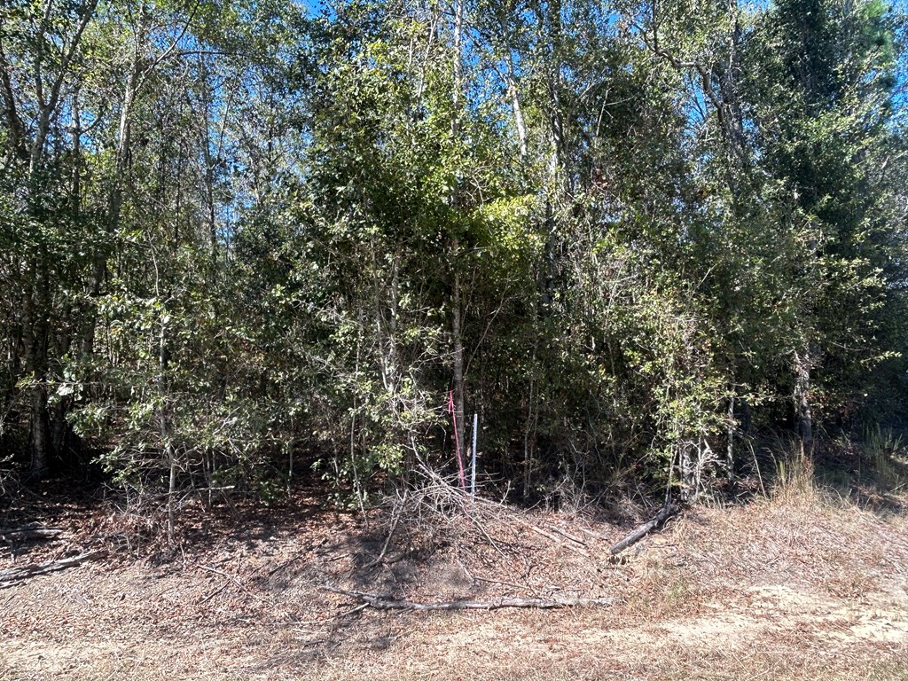 20-ac Coot Adams Road Ashford, AL 36312 - Photo 10 of 28