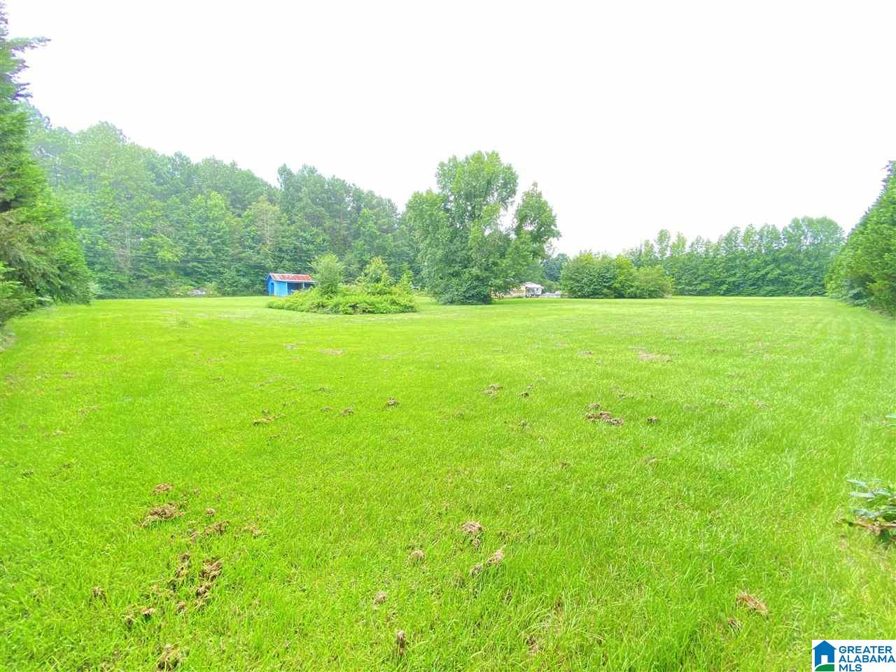 950 Coupland Road Odenville, AL 35120 - Photo 41 of 44