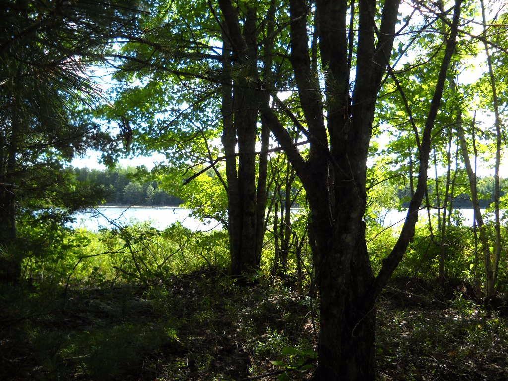 167 Silsby Road Ellsworth, ME 04605 - Photo 9 of 10 Photo