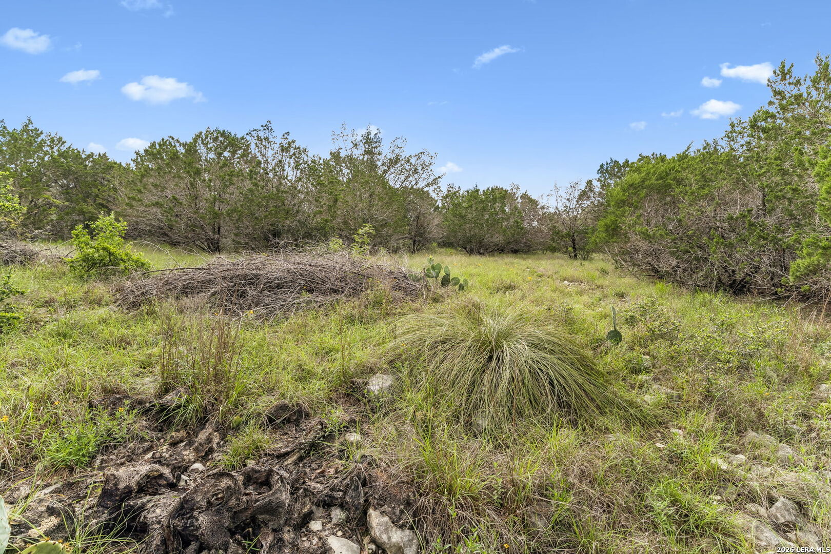 293 River Cliff Place Spring Branch, TX 78070 - Photo 10 of 15