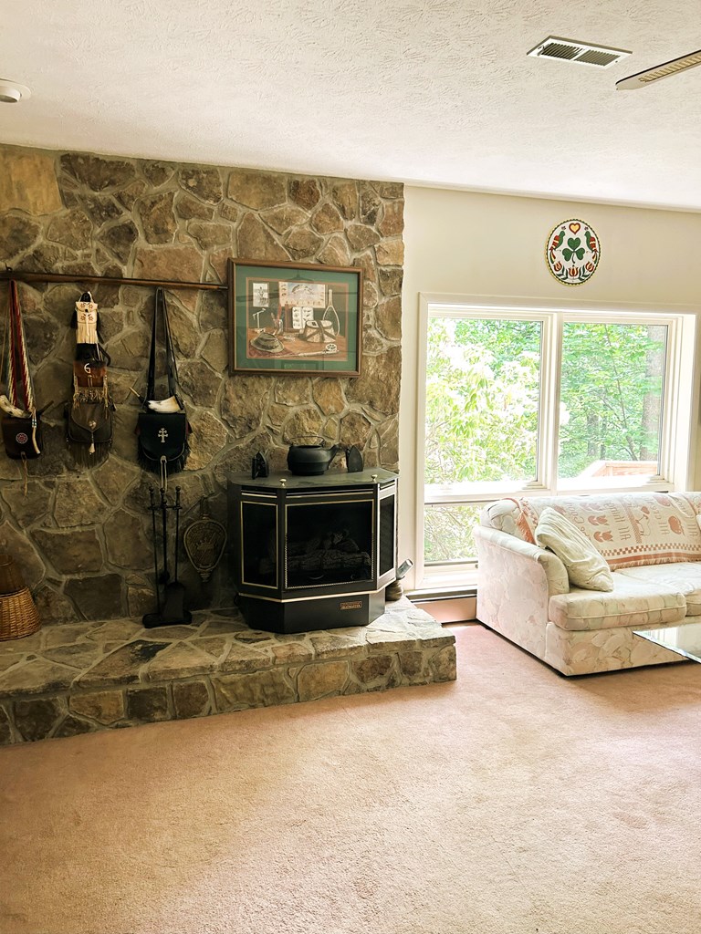 746 Mission Dam Road Hayesville, NC 28904 - Photo 11 of 35