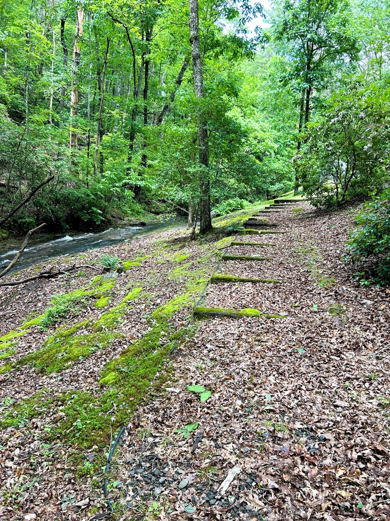 746 Mission Dam Road Hayesville, NC 28904 - Photo 16 of 35