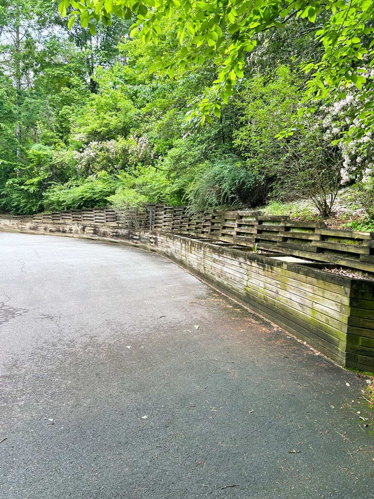 746 Mission Dam Road Hayesville, NC 28904 - Photo 17 of 35