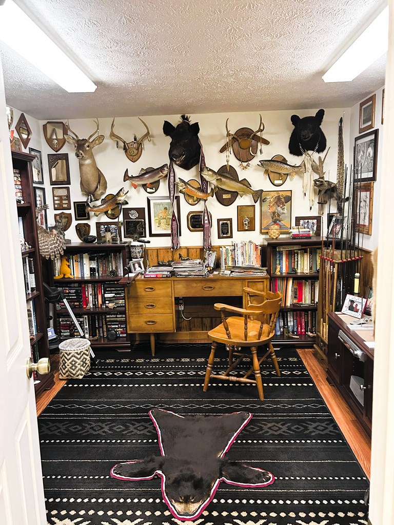 746 Mission Dam Road Hayesville, NC 28904 - Photo 20 of 35