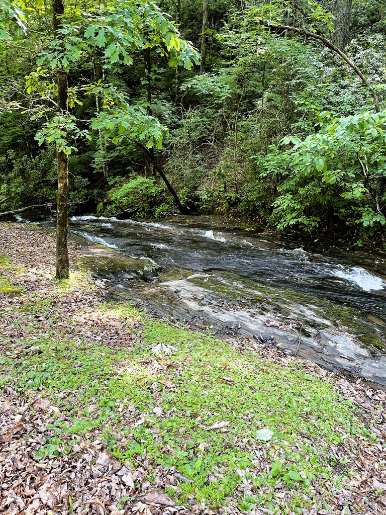 746 Mission Dam Road Hayesville, NC 28904 - Photo 2 of 35