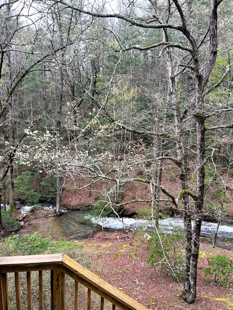 746 Mission Dam Road Hayesville, NC 28904 - Photo 3 of 35