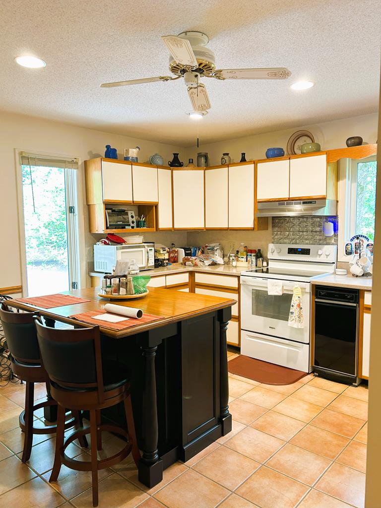 746 Mission Dam Road Hayesville, NC 28904 - Photo 4 of 35