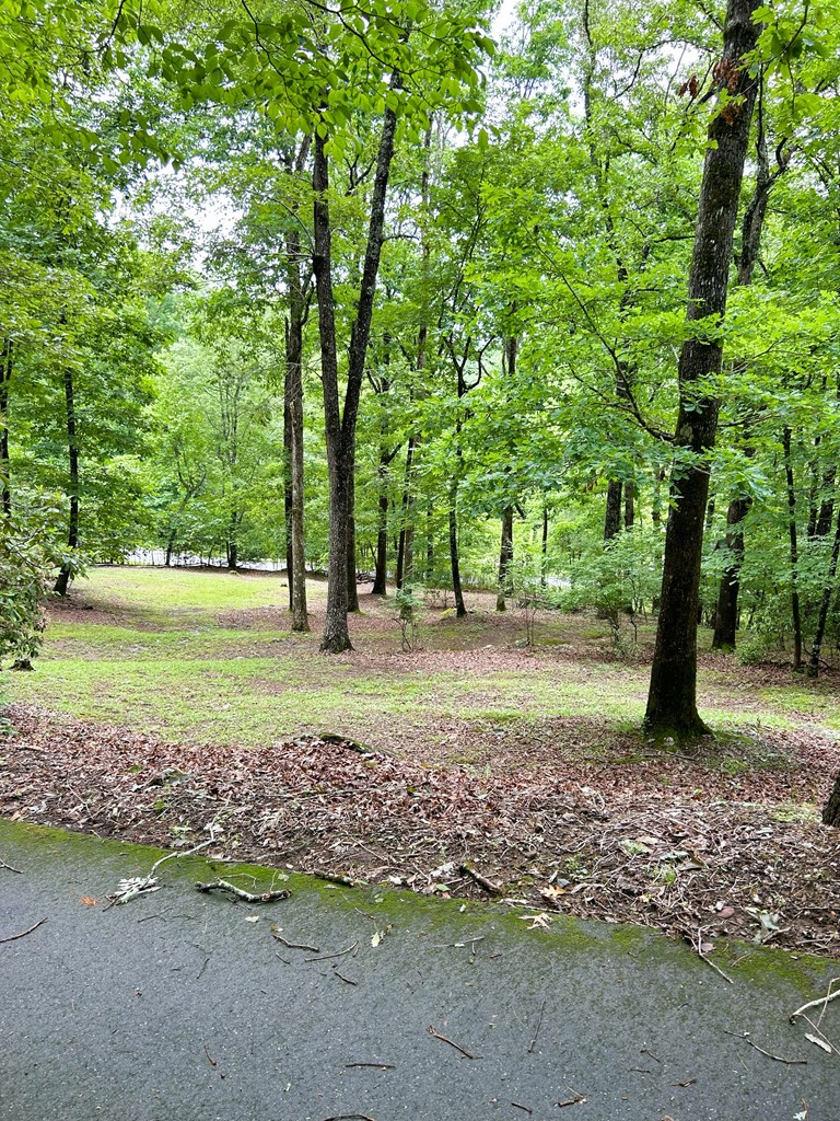 746 Mission Dam Road Hayesville, NC 28904 - Photo 5 of 35