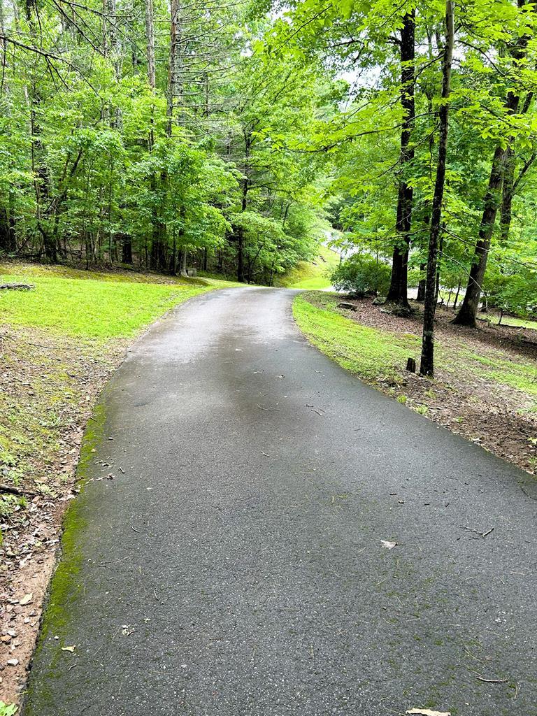 746 Mission Dam Road Hayesville, NC 28904 - Photo 6 of 35