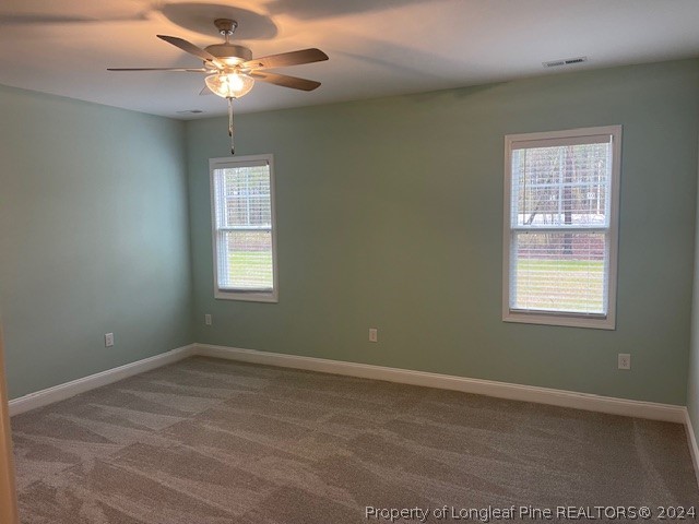 179 Rocking Canal Place Erwin, NC 28339 - Photo 12 of 17 a view of a room with a ceiling fan and a window