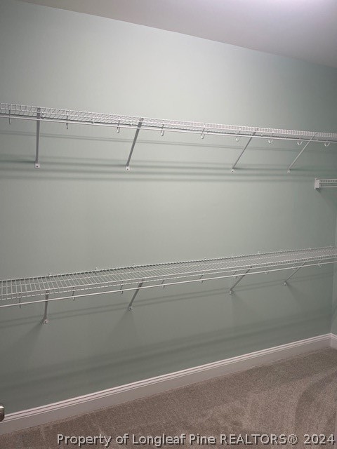 179 Rocking Canal Place Erwin, NC 28339 - Photo 13 of 17 a close view of closet