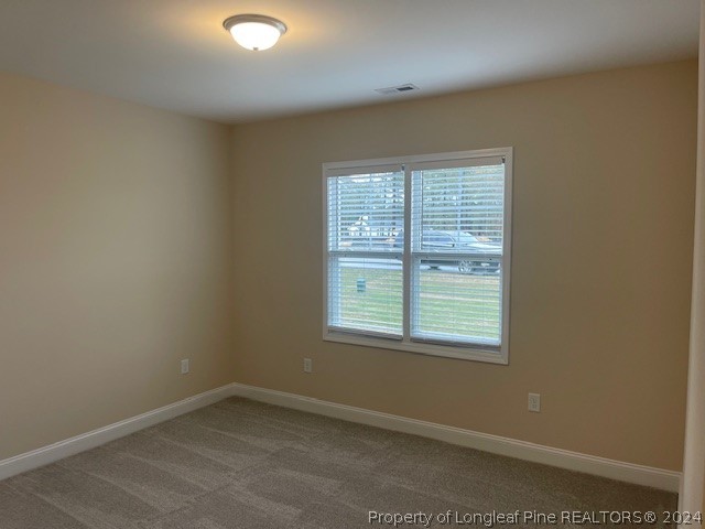 179 Rocking Canal Place Erwin, NC 28339 - Photo 9 of 17 an empty room with a window
