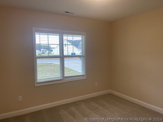 179 Rocking Canal Place Erwin, NC 28339 - Photo 10 of 17 an empty room with a window