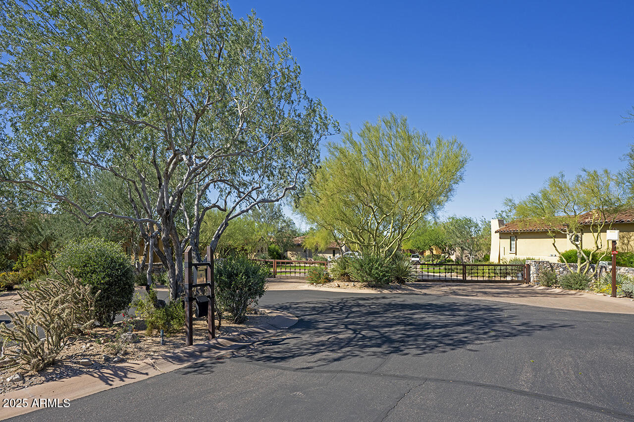 9190 East Hoverland Road Scottsdale, AZ 85255 - Photo 25 of 35 a view of street along with trees