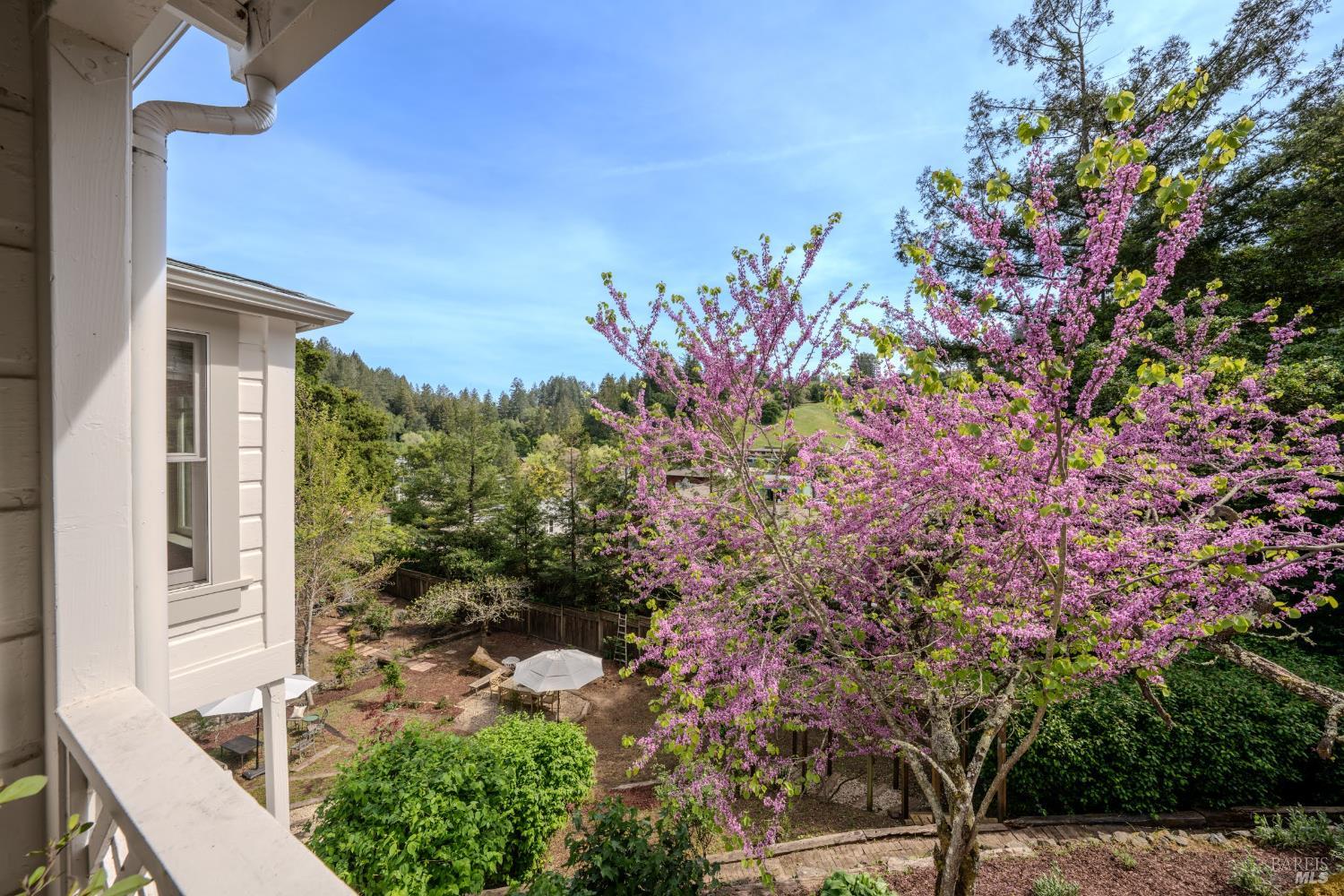 14952 Coleman Valley Road Occidental, CA 95465 - Photo 26 of 69