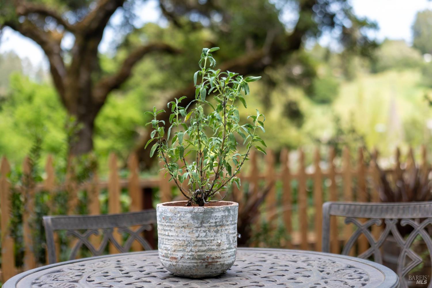 14952 Coleman Valley Road Occidental, CA 95465 - Photo 4 of 69