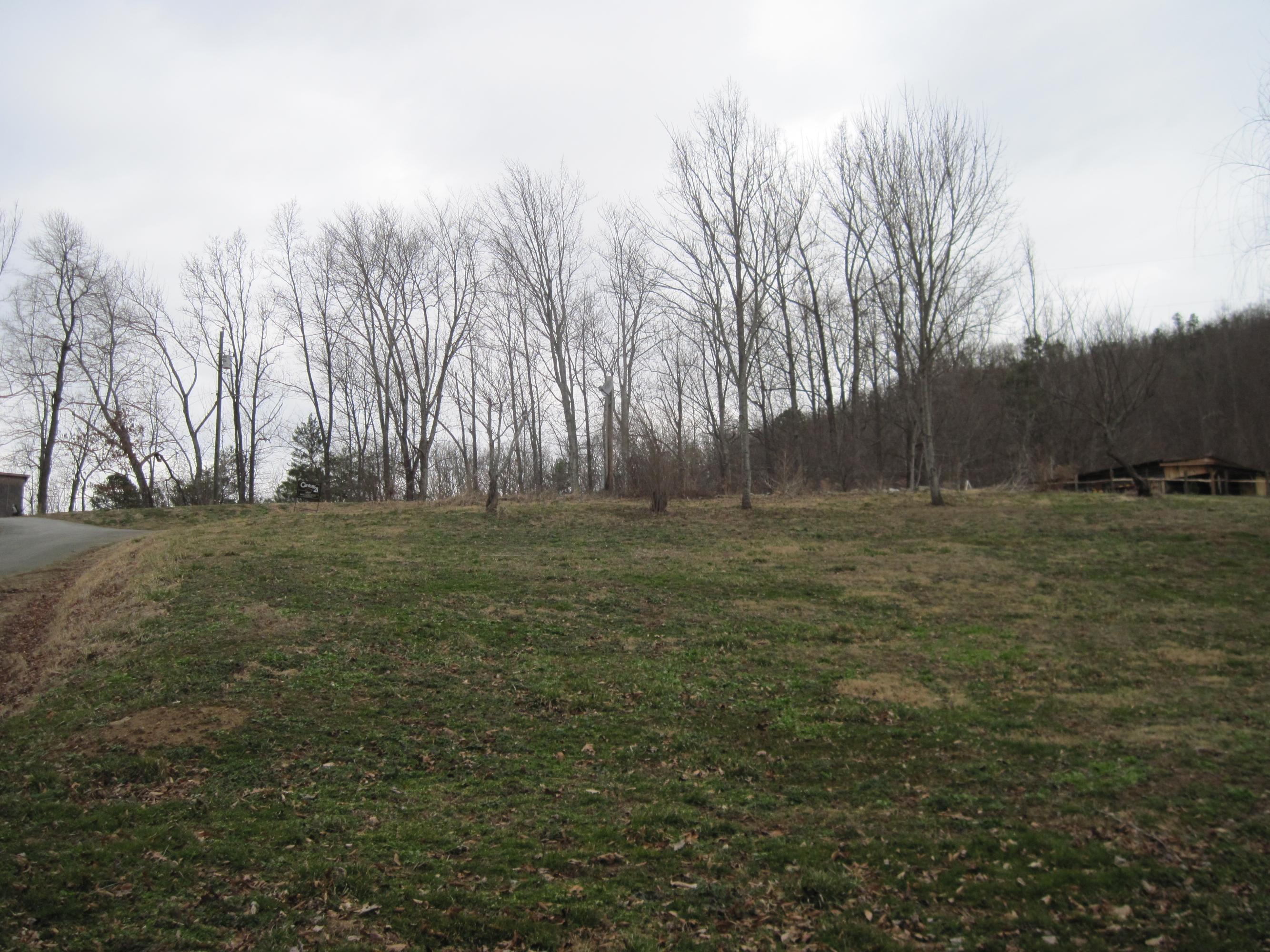 2702-1 Clabo Road Sevierville, TN 37862 - Photo 1 of 11 IMG_0757
