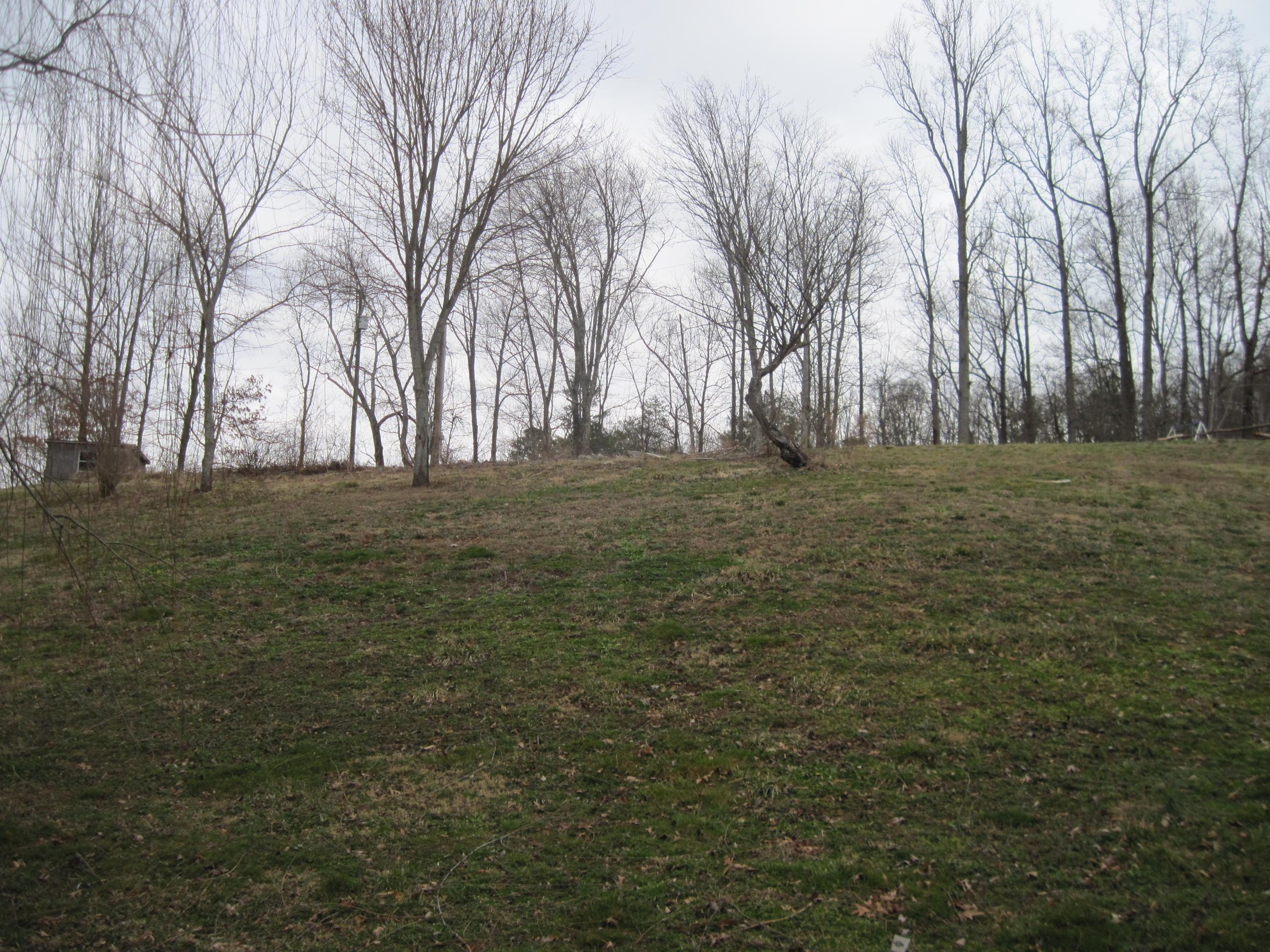 2702-1 Clabo Road Sevierville, TN 37862 - Photo 2 of 11 IMG_0758