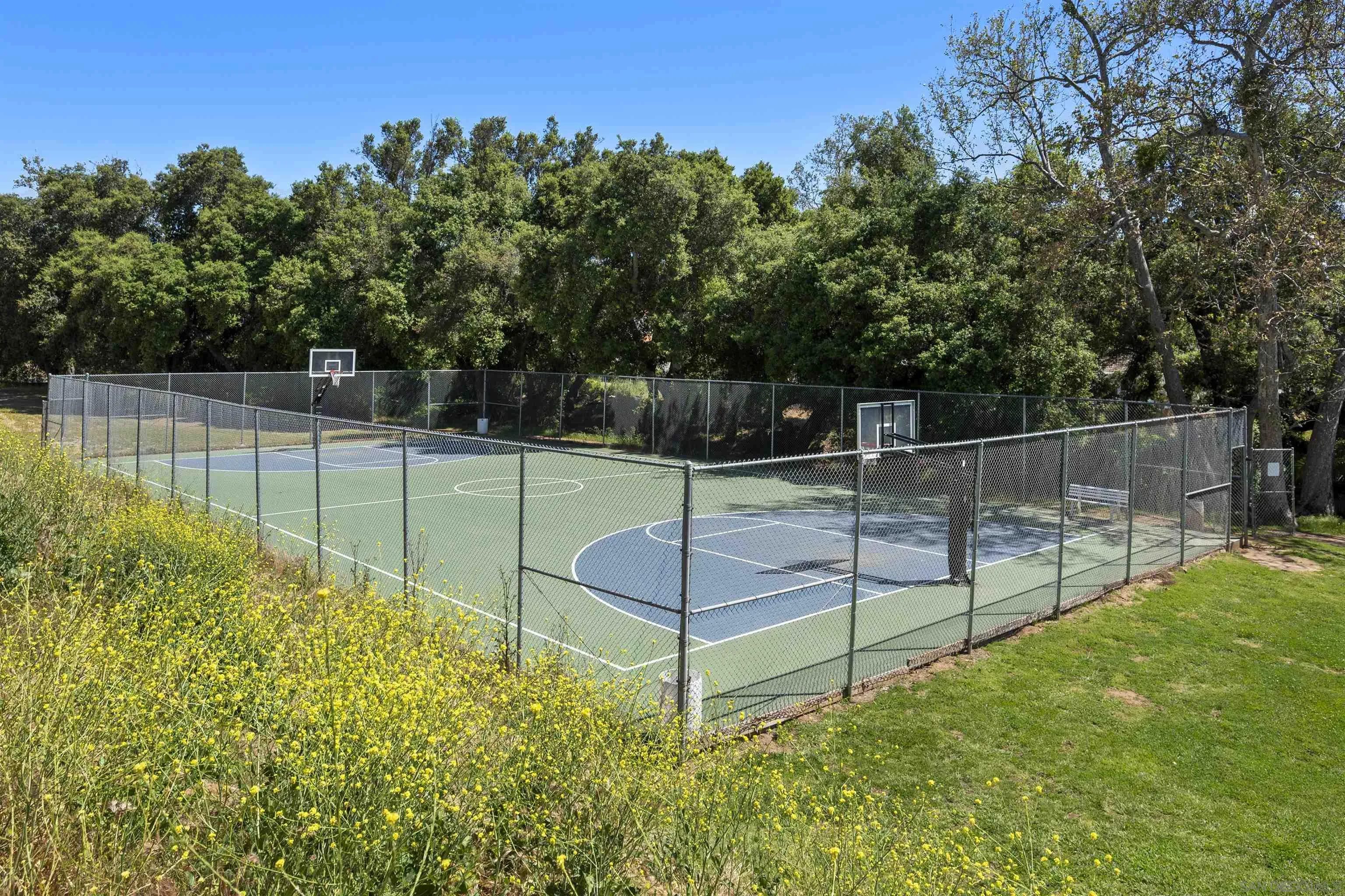 24849 Pappas Road Ramona, CA 92065 - Photo 43 of 50 a view of a backyard