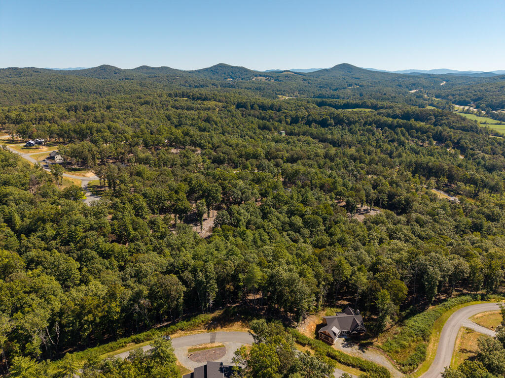 Lot 62 Ridge Drive Blue Ridge, GA 30513 - Photo 13 of 17 Gallery Image 13