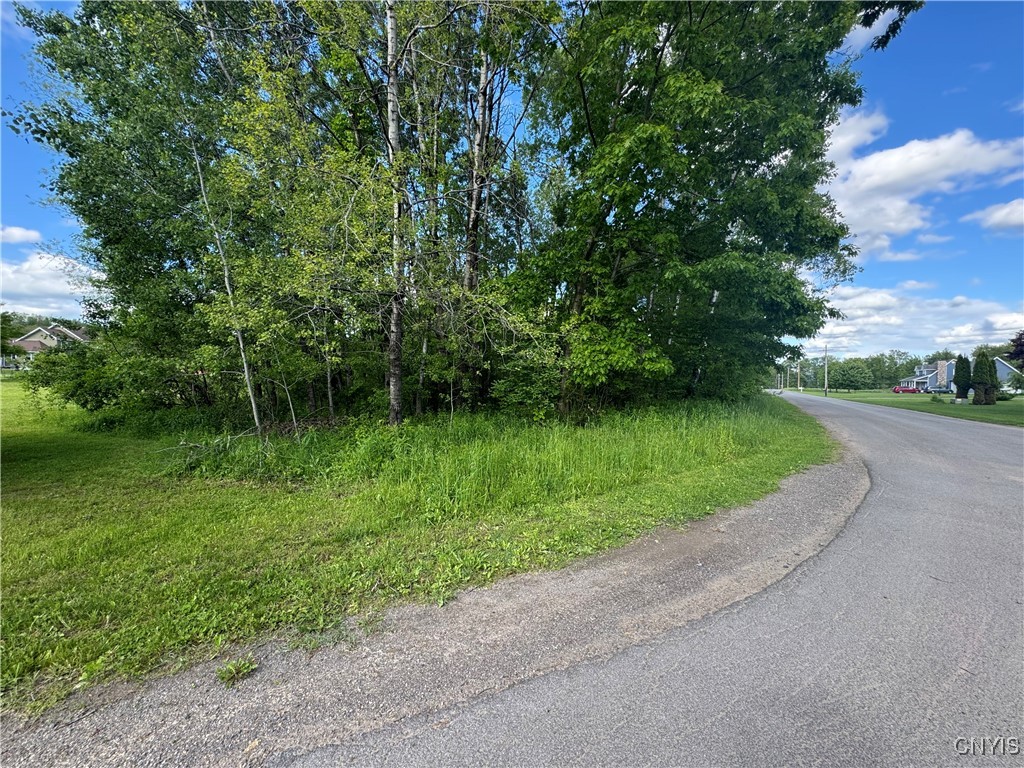 Wakefield Lane Ava, NY 13303 - Photo 5 of 6