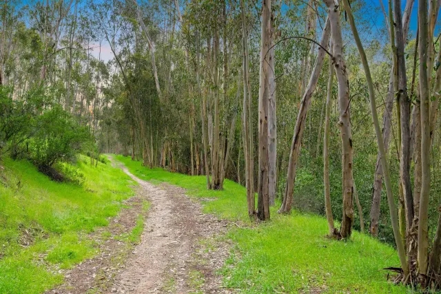 $2,399,000 | 12294 Spruce Grove Place, San Diego, CA 92131