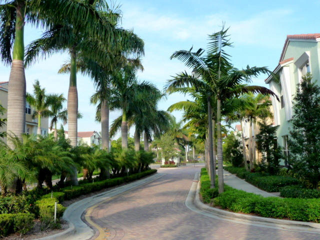 4858 Northwest 16th Terrace Boca Raton, FL 33431 - Photo 25 of 38 a palm tree sitting in front of a house with a garden