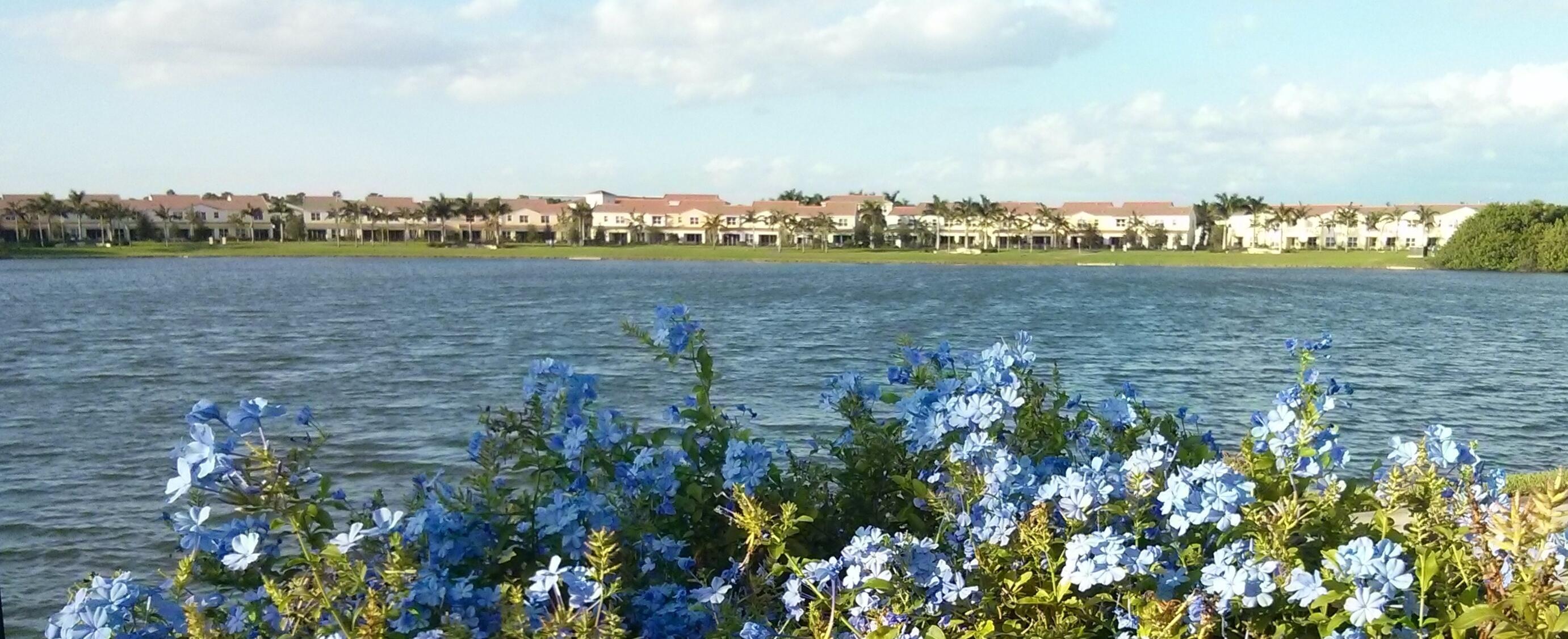 4858 Northwest 16th Terrace Boca Raton, FL 33431 - Photo 33 of 38 a view of a lake with houses in back
