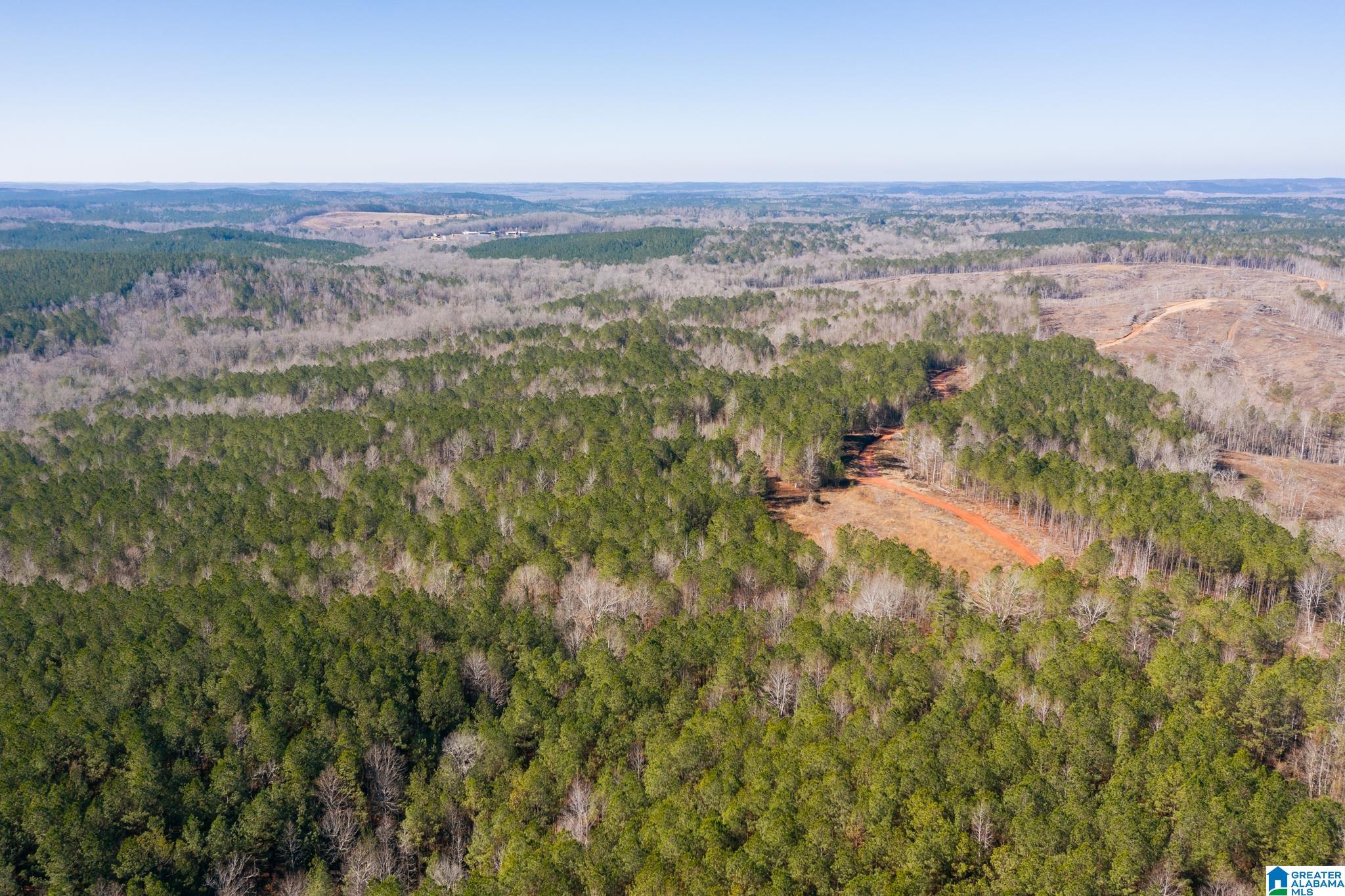0 Harless Road Northport, AL 35475 - Photo 10 of 34